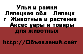 Ульи и рамки  - Липецкая обл., Липецк г. Животные и растения » Аксесcуары и товары для животных   